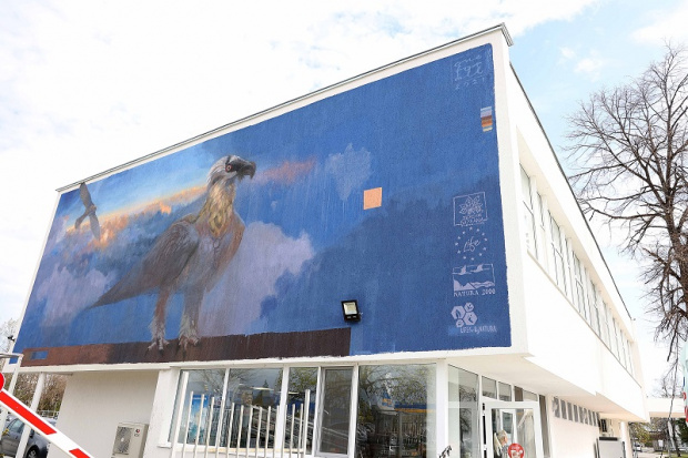 Мащабен графит на символа на българската природозащита брадатия лешояд вече ще посреща гостите на Пловдив