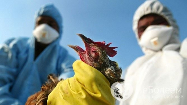 Умъртвяват 40 000 животни край Пловдив заради огнище на птичи грип
