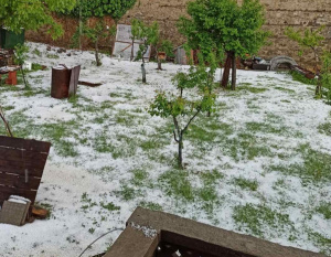 Село край Кърджали стана изцяло бяло след мощна градушка СНИМКИ