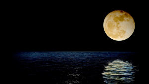 Тази вечер се наблюдава втората за годината Супер луна