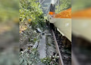 Пътнически влак помете и уби 9 души