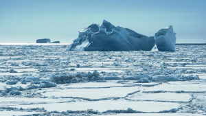 ООН потвърди за рекордна температура в Антарктида