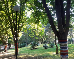 Доброволци „облякоха“ дървета в бургаски парк