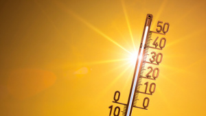 Рекордна жега мори съседна Турция, живакът удари близо 50 градуса!