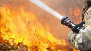 Пожар бушува над Боровец, военни и "Кугър" се борят с пламъците!