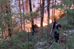 Задържаха българка за предизвикване на пожари в Гърция