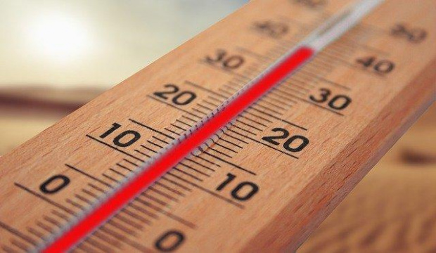 Измериха рекордните 40,9 градуса на сянка в Ловеч
