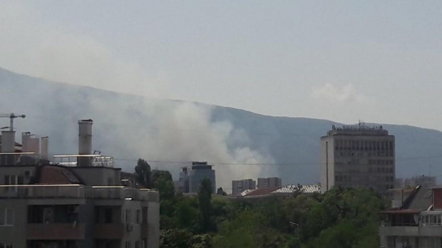 Сухи треви горят в София (СНИМКИ)