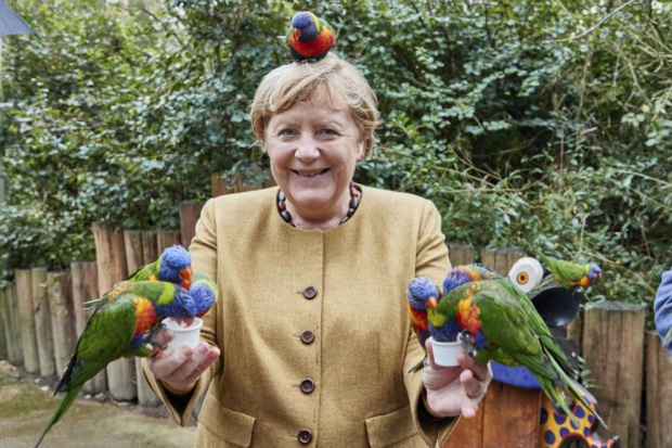 Меркел беше неочаквано „нападната“ от агресивен папагал лори (СНИМКИ)