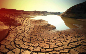До 2050-а: 5 млрд. души остават без вода, алармира ООН
