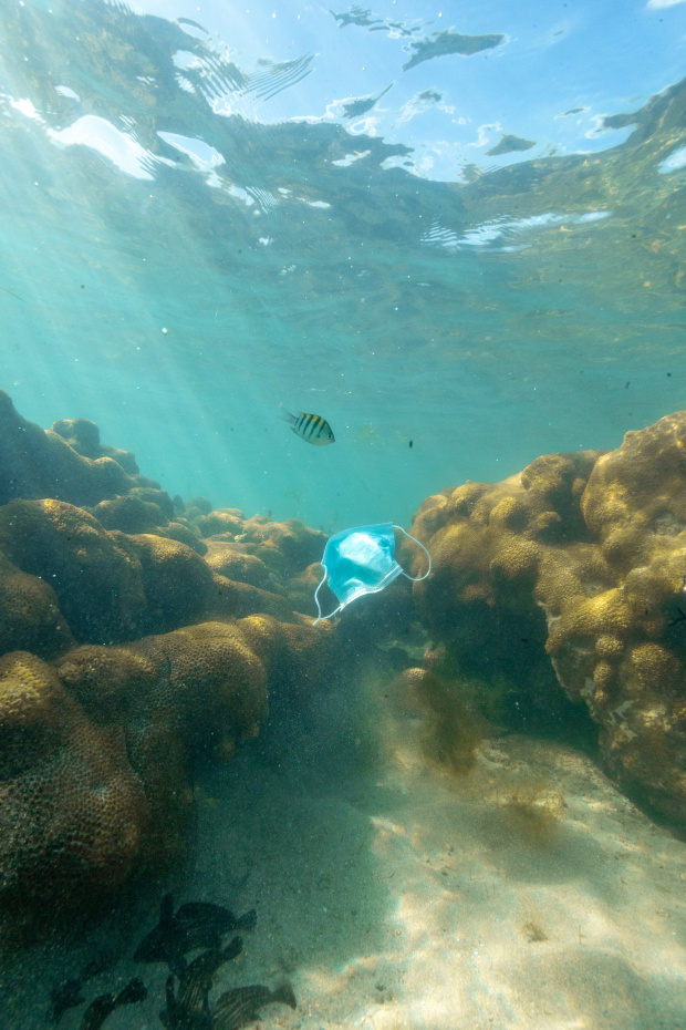 Екокатастрофа: Тонове отпадъци от предпазни средства срещу COVID-19 плуват в океаните