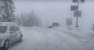 Над 50 селища без ток заради снега, паднали дървета блокираха пътища (ВИДЕО)