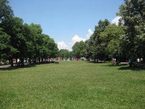 "Спаси София": Да спасим Борисовата градина от грабежа