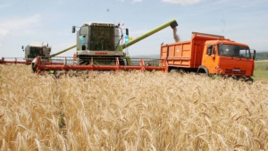 Зърнопроизводители: Недостиг на зърно няма, износът не трябва да се спира