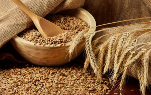 Василев: Забрана за износ на зърно от страната няма