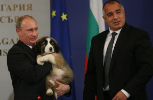 Необикновената връзка между Путин и кучетата му (СНИМКИ)
