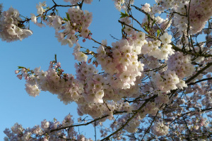 Пролетта избухва: Перфектен съботен ден