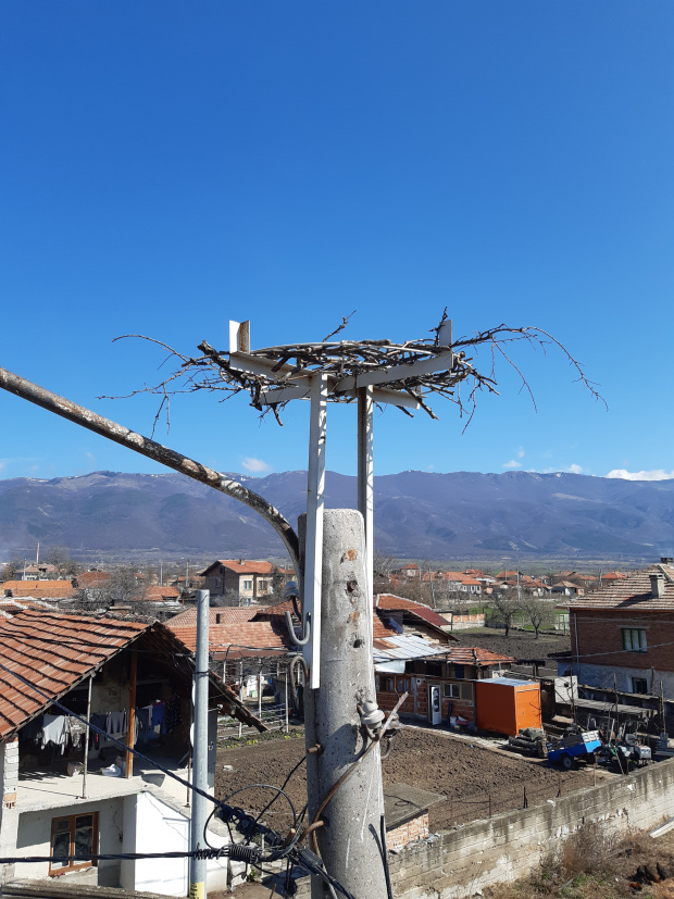 Електроразпределение Юг монтира 181 нови платформи за щъркелови гнезда по стълбове от електроразпределителната мрежа