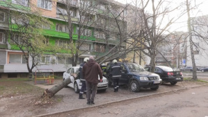 Какви са щетите след ураганния вятър в Западна България (ОБЗОР)
