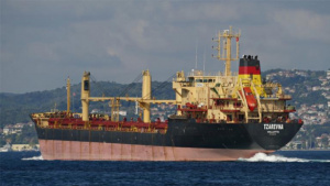 МВнР отрича информацията за превземането на кораба „Царевна“