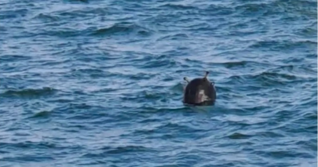 Мина е открита в Черно море край Кефкен в Турция