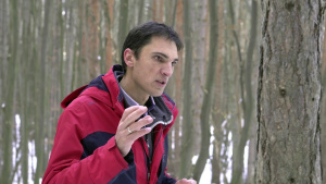 Депутатът Дунчев: Не лесовъди, а политици, кметове и свързани с тях фирми стопанисват горите