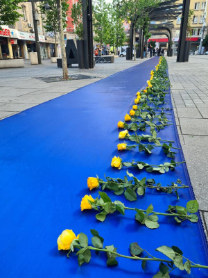 100-метрова синя панделка, рамкирана със сто жълти рози в София, заради руската агресия