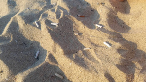 Украинци засипали плажове по Южното ни Черноморие с фасове