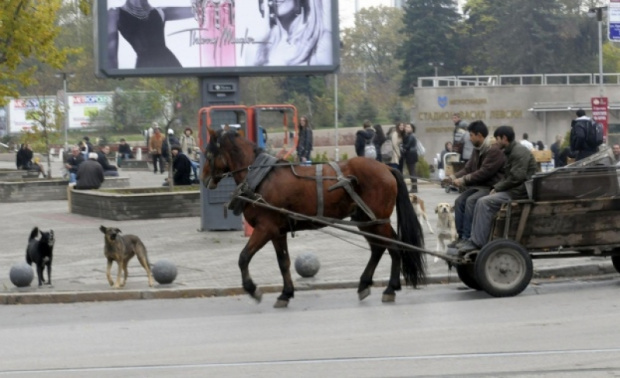 От днес в София влиза в сила забраната за движение на каруци
