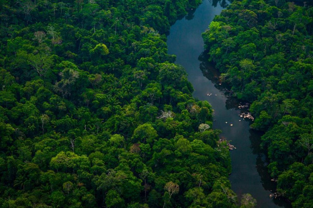 Британски журналист и бразилски експерт изчезнаха в Амазония