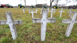 Активисти срещу ядрената енергия карат трактори покрай символично гробище в Германия.
