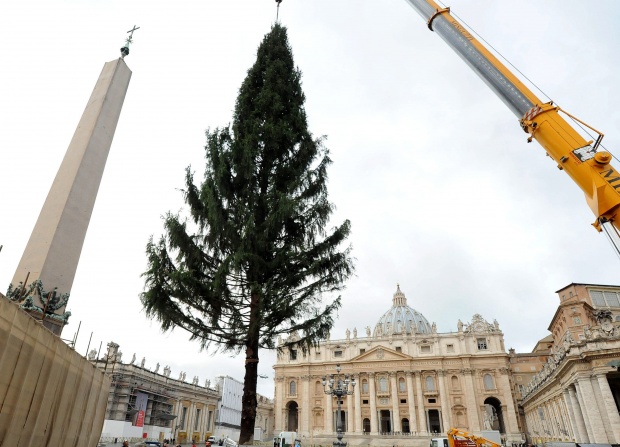 Кран поставя коледното дърво, което Украйна подари на Ватикана, близо до обелиска на площад „Св. Петър“, Ватикана, 5 декември.