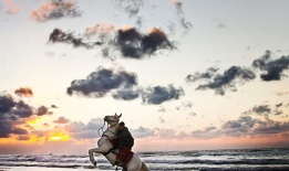 Палестински ездач язди по плажната ивица в Газа.
