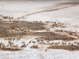 Кервани с камили в Етиопия пораждат асоциация със сцена от библейски времена.