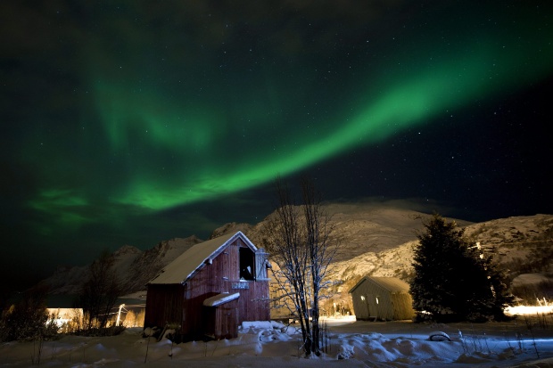 Аурора бореалис, или северно сияние, в небето над село Ерсфйордботн близо до Тромсо, Северна Норвегия.