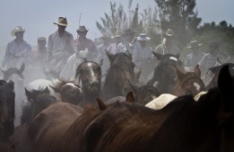 Около 1100 животни се включиха в ежегодната Разходка на конете в Андалусия, Испания.