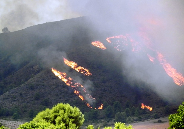 Горски пожари обхванаха Югоизточна Испания в неделя следобед. Огънят се разпространи бързо заради силния вятър.