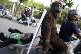 Активист в костюм на орангутан протестира срещу опитомяването на маймуните като домашни любимци в Индонезия