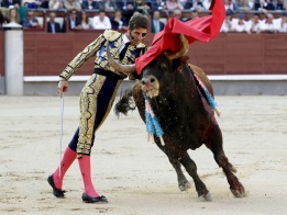 Испанският матадор Хуан Хосе Падия се бори с първия си бик по време на коридата на Панаира за изкуство и култура в Лас Вентас, Мадрид.