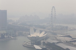 Небето над Сингапур се замъгли сериозно, след като дим от горски пожари „задуши“ Сингапур и Малайзия. Около 113 горски пожара на индонезийския остров Суматра станаха причина за неясното небе и замърсиха силно въздуха.