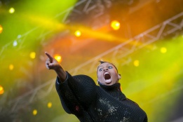 Британската певица Skin, вокалистка на бандата Skunk Anansie, изпълнява хитове на концерт по време на фестивал в Будапеща, Унгария