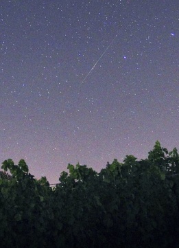 Падаща звезда озарява небето над лозе до Escherndorf, Германия, в нощта срещу 14 август