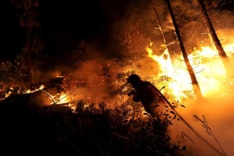 Пожарникар се бори със стихията в гора в Силварес, Португалия