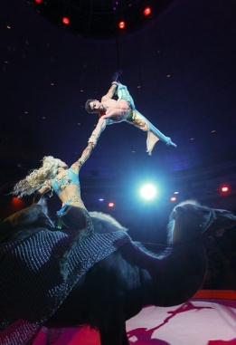 Украински циркови артисти изпълняват акробатичен номер с камила по време на шоуто "Караваната на чудесата" в Киев, Украйна