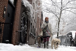 Снежна буря покри Ню Йорк с нов пласт сняг