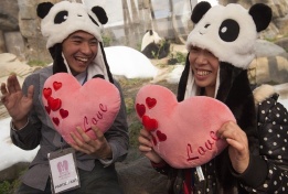 Участници в спийд-дейтинг празнуват Св. Валентин в ограждението за панди в Хонг-Конг