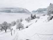 Истинска зимна приказка настана в източна Швейцария