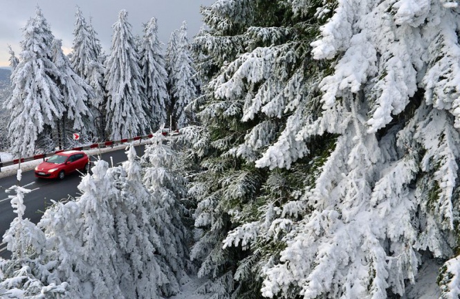 Снежна приказка в немското градче Оберхоф, където се очаква да продължава да затрупва горите до Коледа
