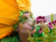 Пролетно шоу в германския град Шмалканден се провежда за трета поредна година
