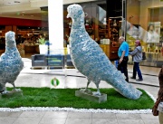 Арт инсталация в столичен мол представя скален гълъб, включен в Червената книга на България, птиците са направени от бутилки минерална вода